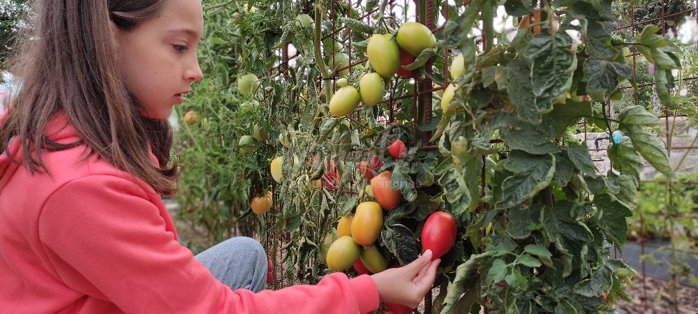Chapter 5 - Dinner From the Garden
