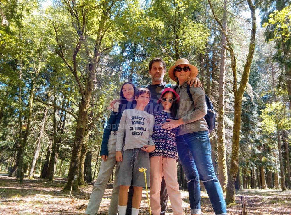Chapter 9 — The Forest, the Wild Horses, and a Birthday in the Trees